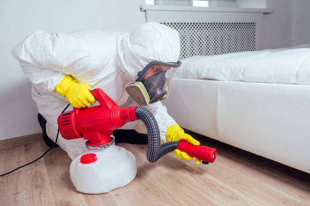 Best Pest Exclusion Services  in Vail, AZ